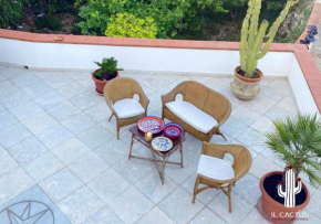 Il Cactus: una piccola oasi in paese